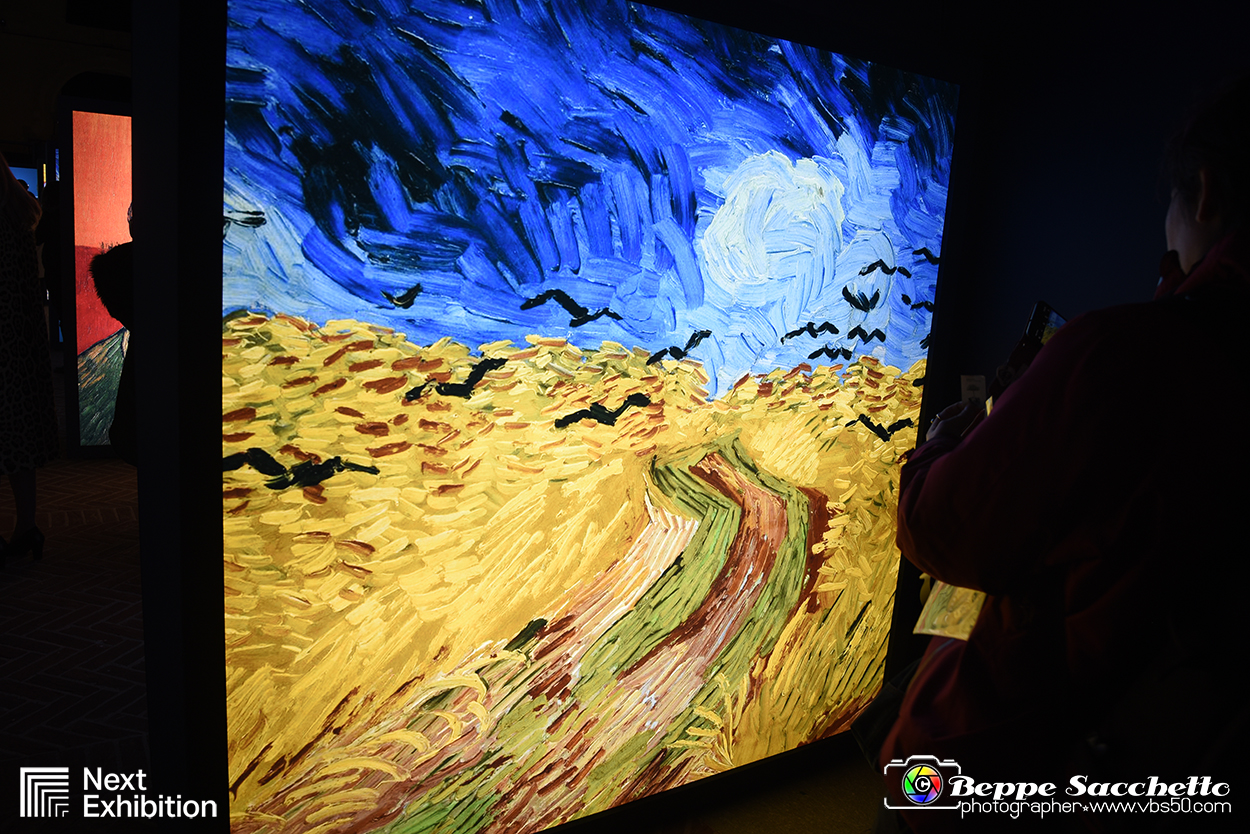 VBS_8063 - Van_Gogh_experience.jpg